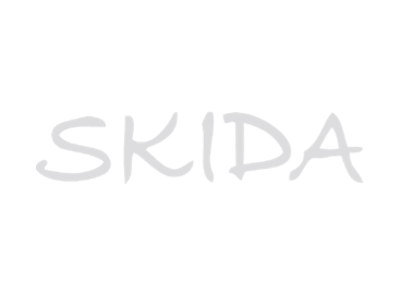 Skida – SEO Success Story